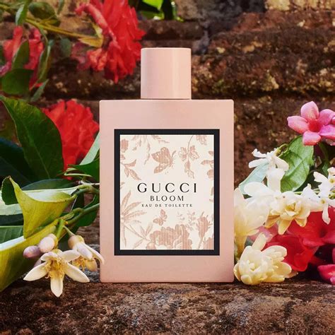 gucci bloom fragrantika|Gucci Bloom fragrance.